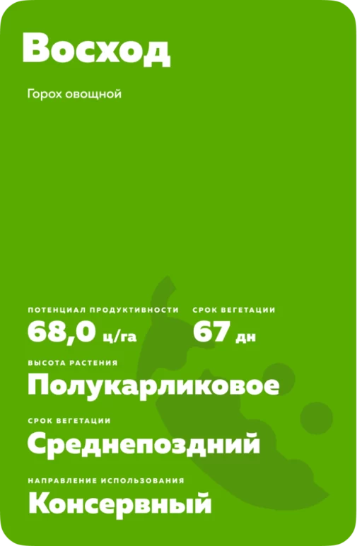 Восход