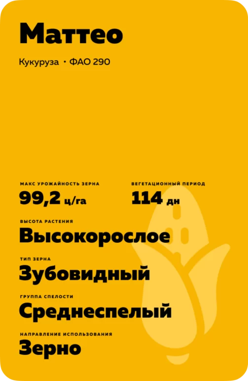 Маттео гибрид кукурузы