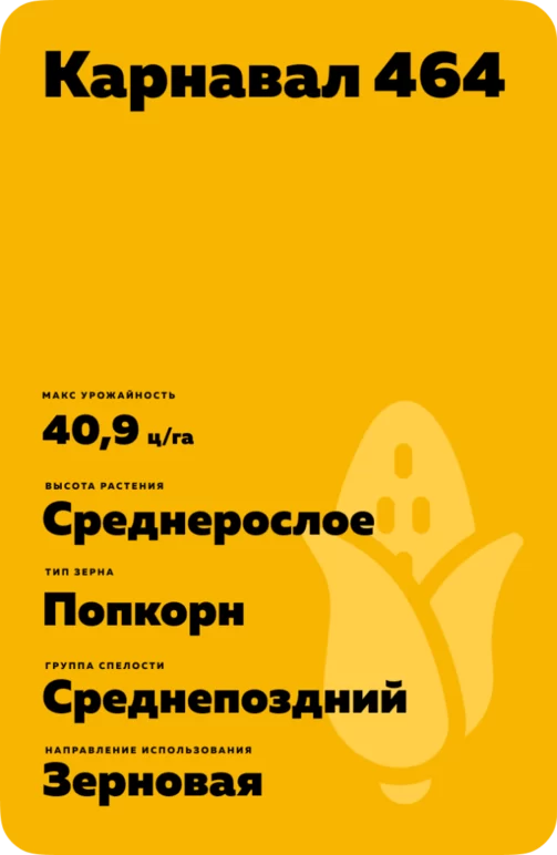 Карнавал 464 - сорт кукурузы ( Zea mays L.).