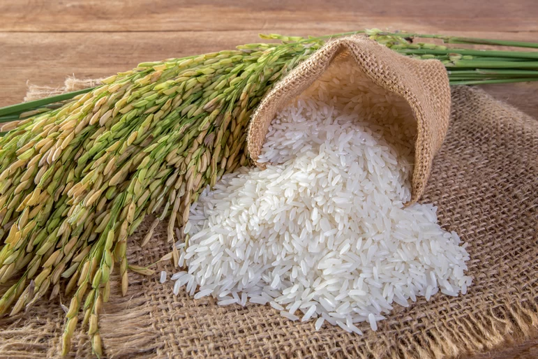 Минсельхоз предложил продлить запрет на экспорт риса ещё на полгода