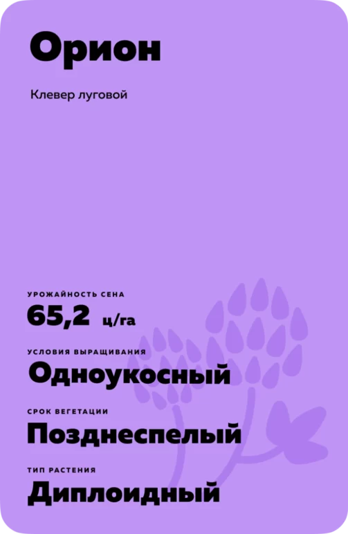 Орион