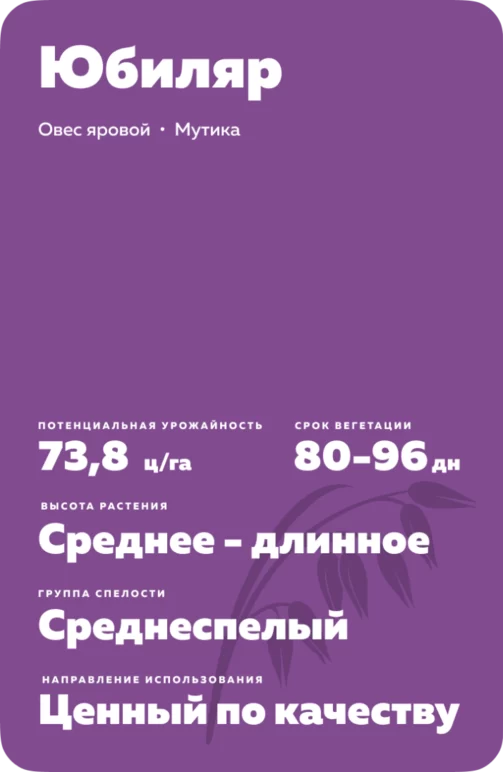 Юбиляр сорт овса ярового