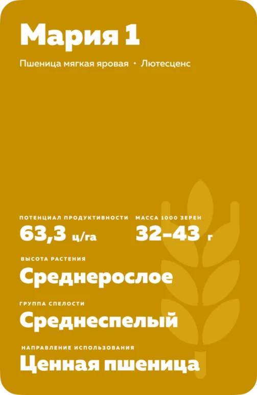 Мария 1