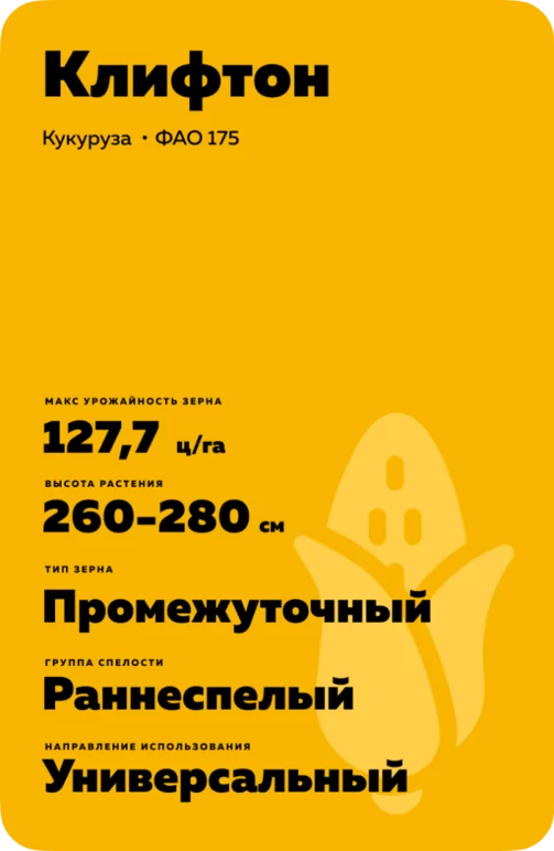 Клифтон гибрид кукурузы