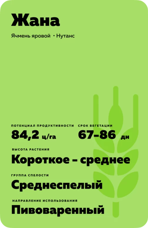 Жана (ZHANA) сорт ярового ячменя