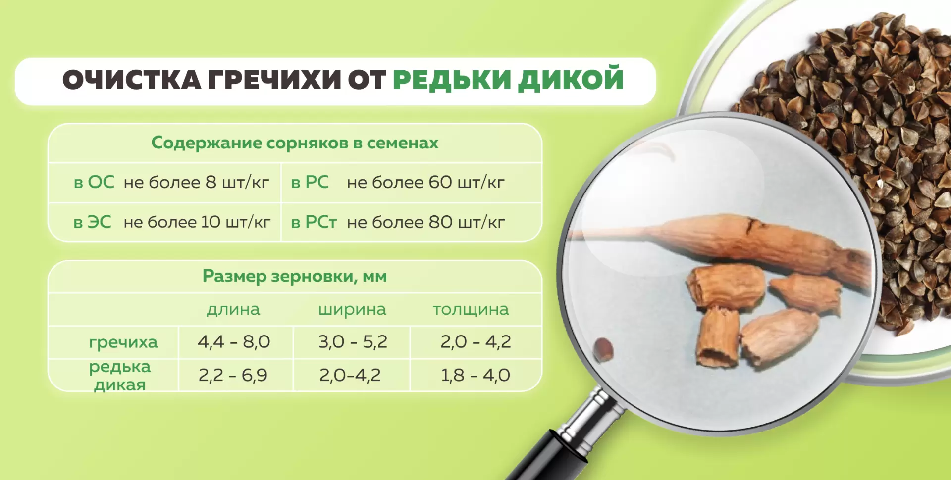 Предварительная очистка зерна и семян