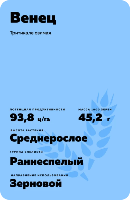 Венец сорт тритикале озимой