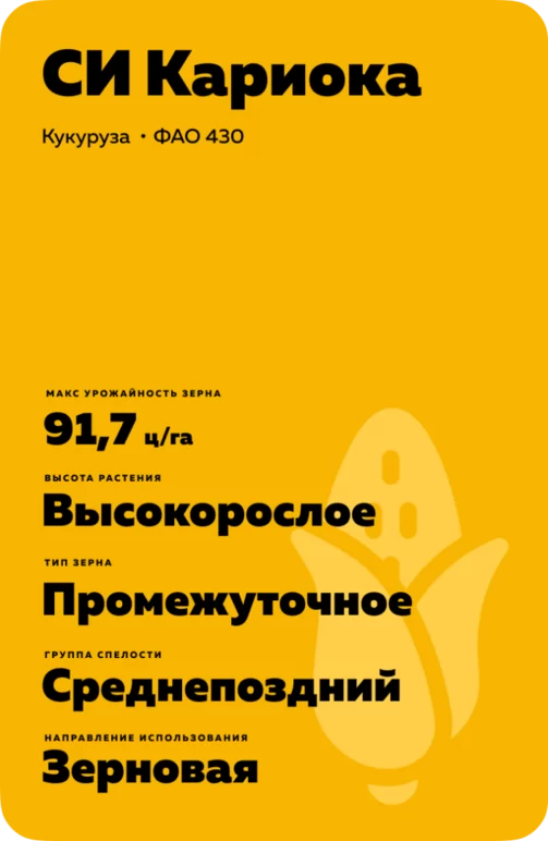 СИ Кариока (SY CARIOCA)