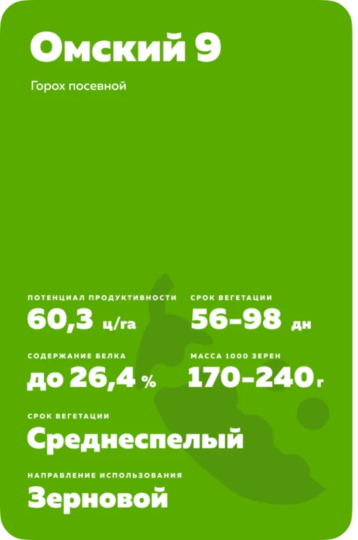 Омский 9