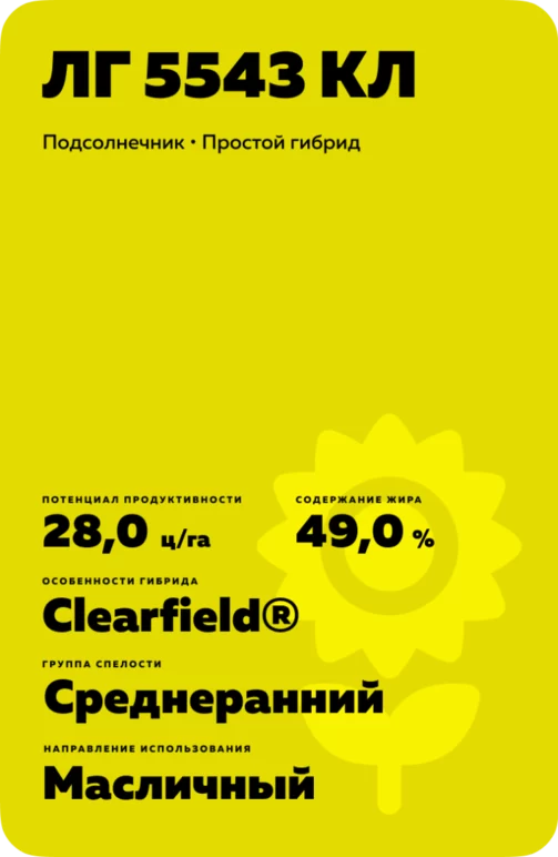 ЛГ 5543 КЛ подсолнечник