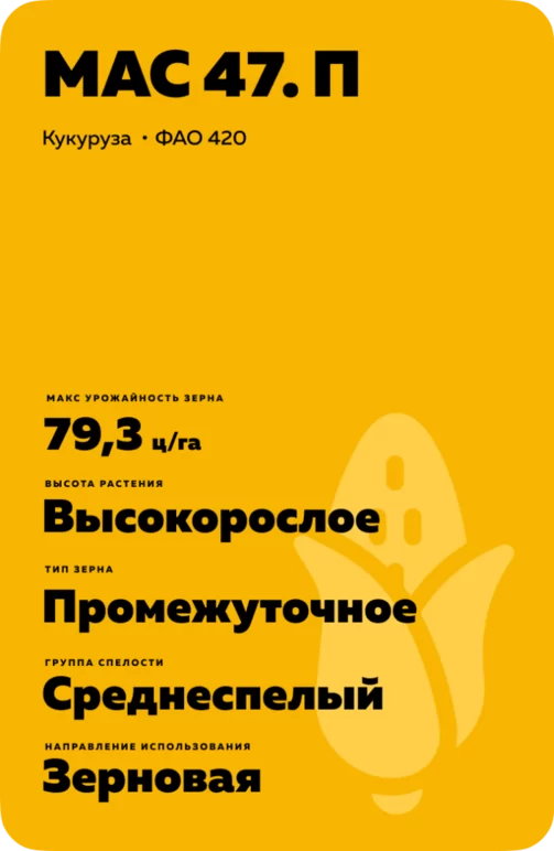 МАС 47. П гибрид кукурузы