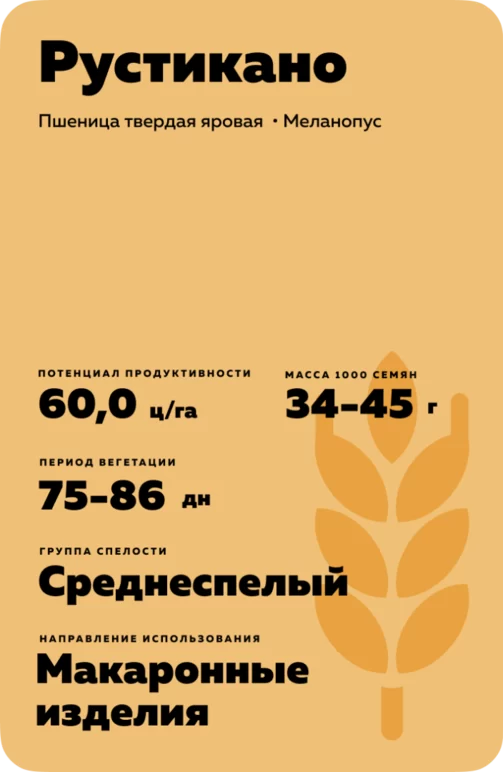 Рустикано (RUSTICANO)