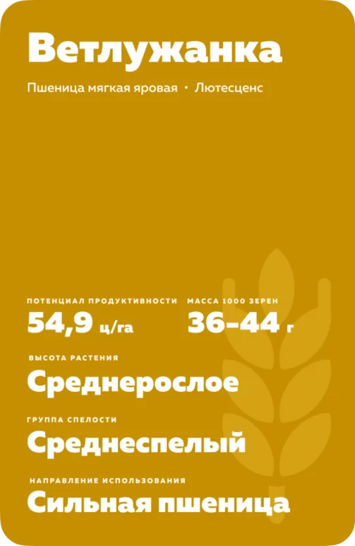 Ветлужанка