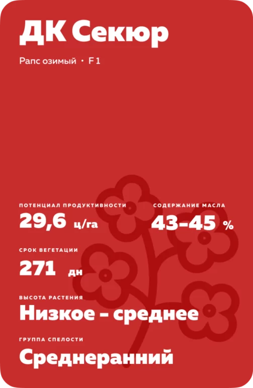 ДК Секюр рапс озимый