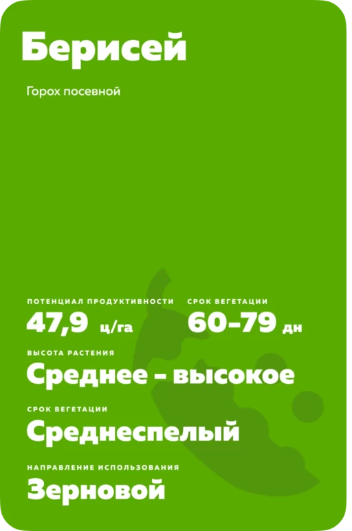 Берисей