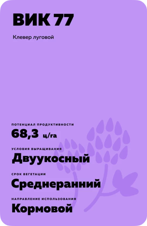 ВИК 77
