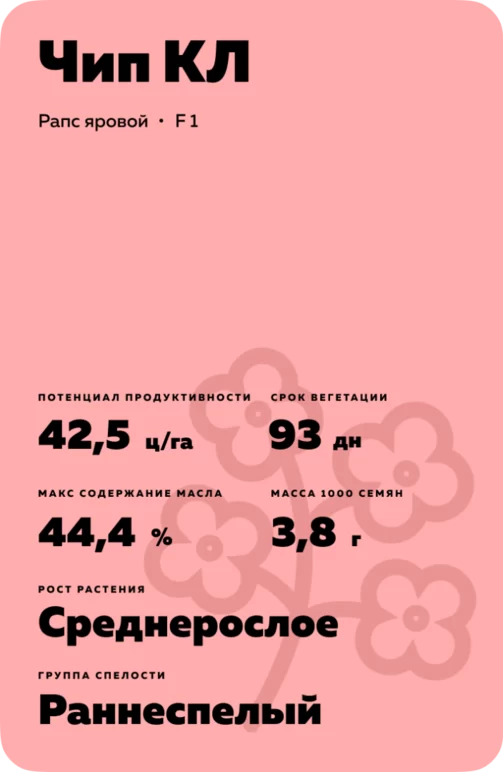 Чип КЛ рапс яровой