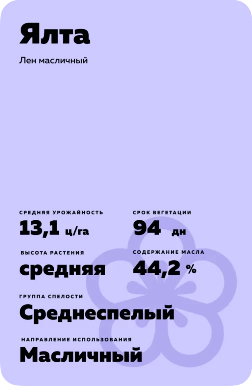 Ялта сорт льна масличного