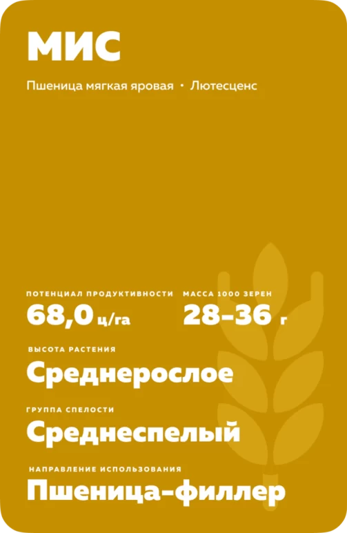 МИС