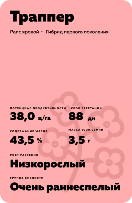 Траппер (TRAPPER) гибрид рапса ярового