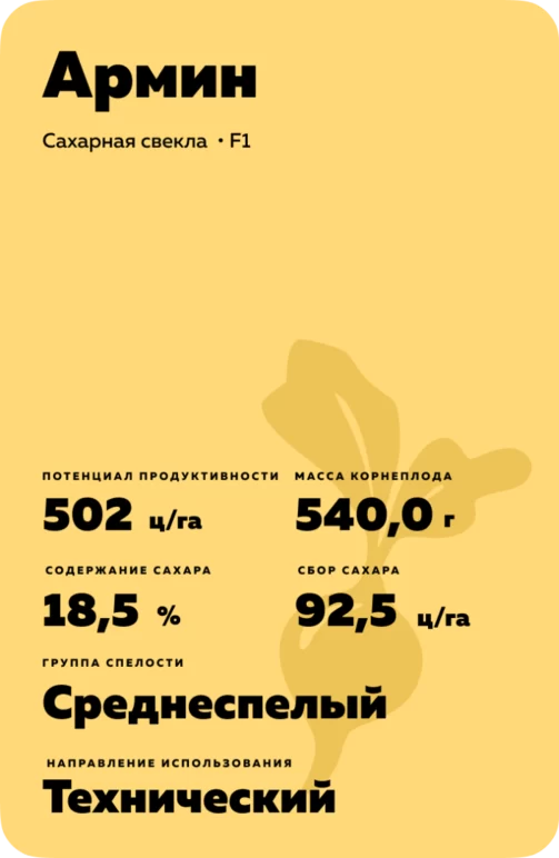 Армин - гибрид свеклы сахарной Штрубе