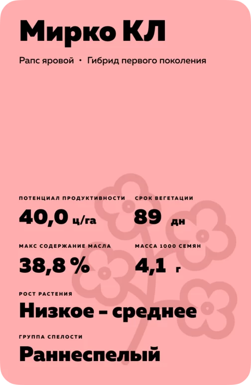 Мирко КЛ (MIRCO CL)	гибрид рапса ярового