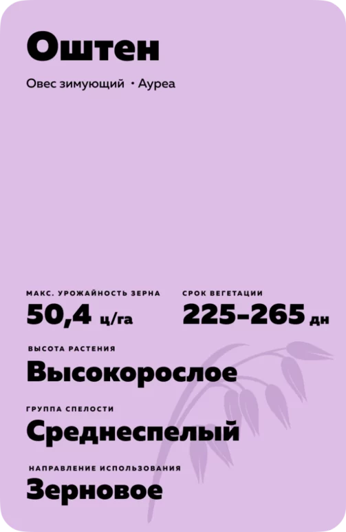 Оштен овес зимующий