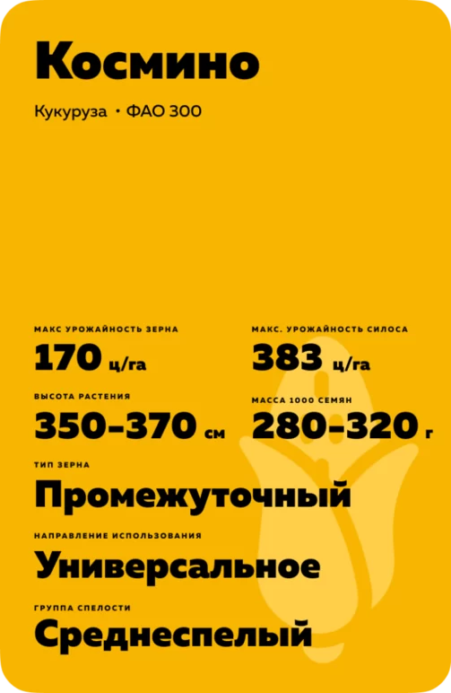 Космино (COSMINO) гибрид кукурузы