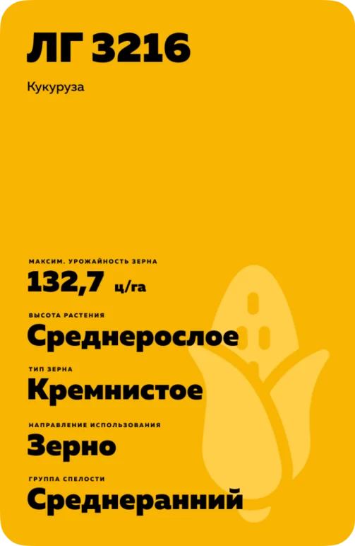 ЛГ 3216 гибрид кукурузы
