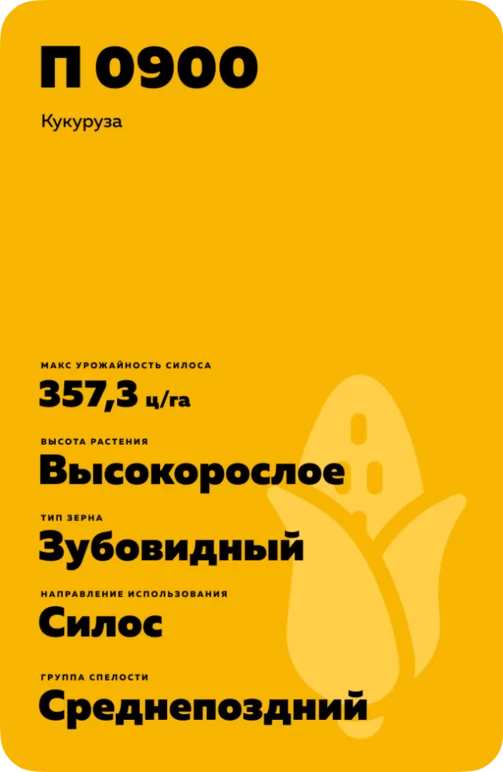 П 0900 - гибрид кукурузы Пионер