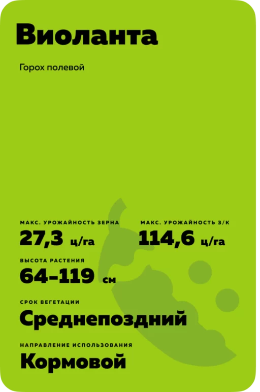 Виоланта сорт горох полевой