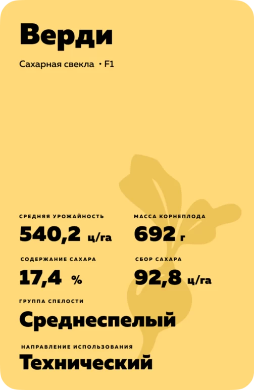 Верди