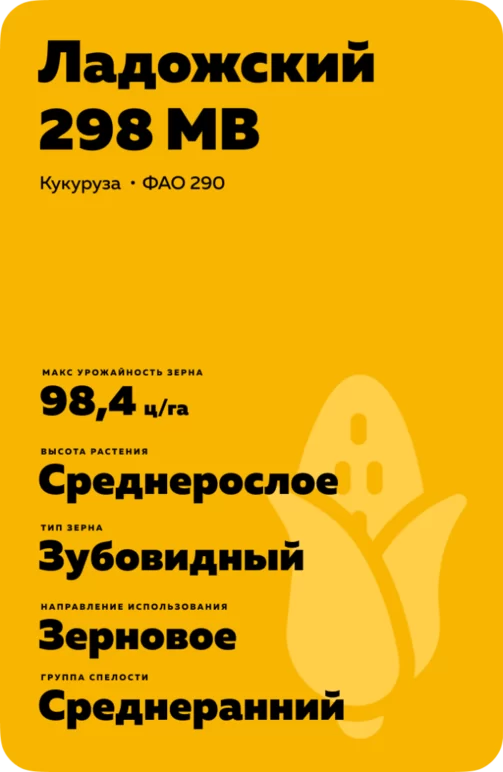 Ладожский 298 МВ