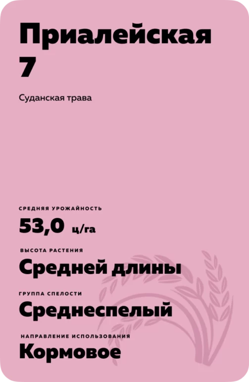 Приалейская 7