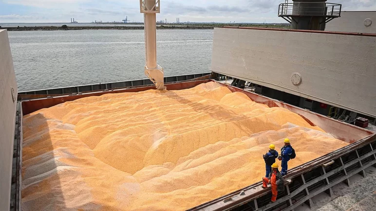 Россия в 2022 году увеличила выручку от экспорта зерна на 15%