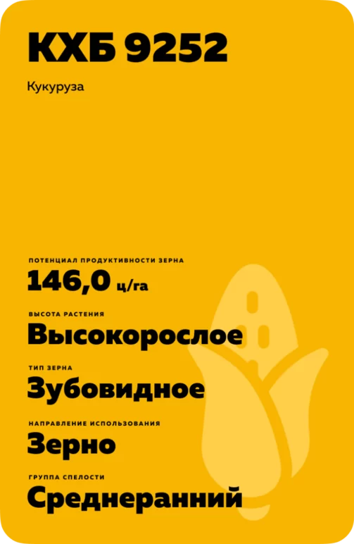 КХБ 9252 гибрид кукурузы