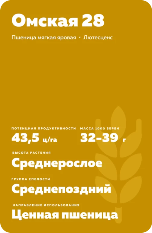 Омская 28