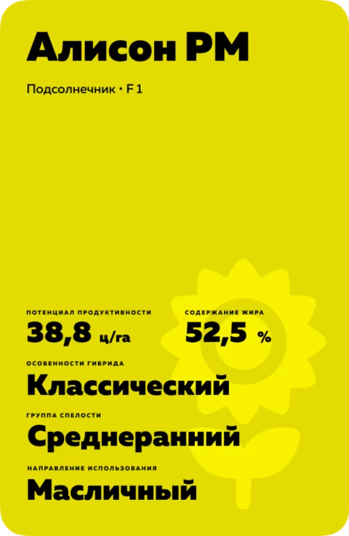 Алисон РМ