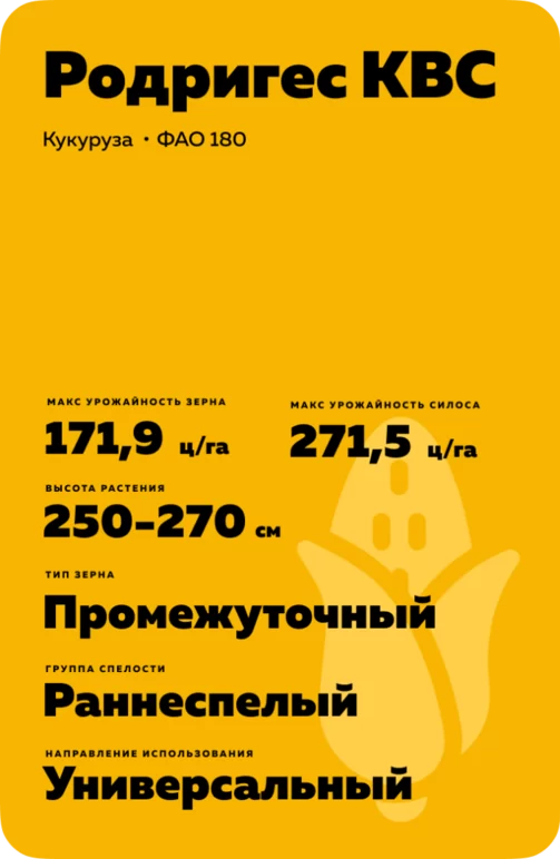 Родригес КВС