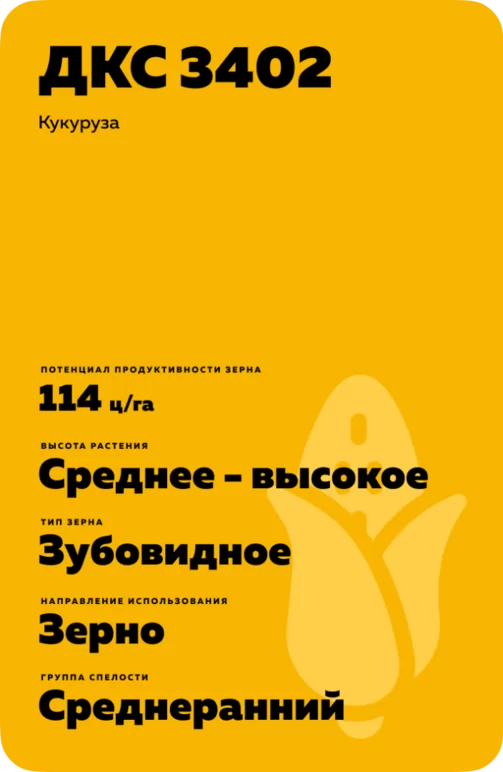 ДКС 3402 гибрид кукурузы