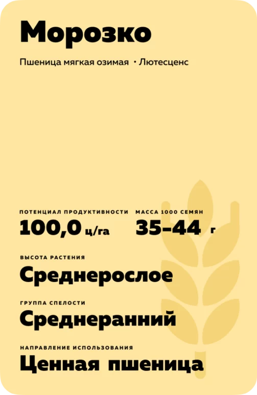 Морозко сорт пшеницы мягкой озимой