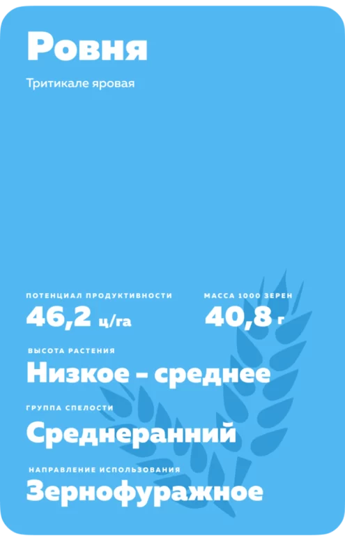 Ровня