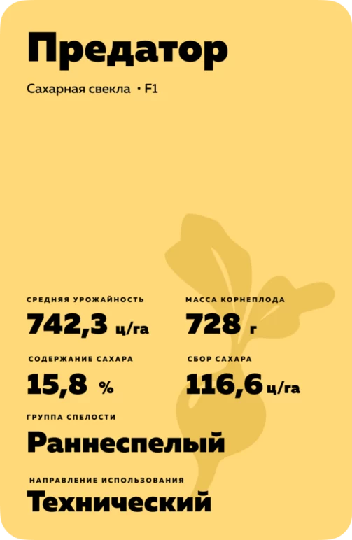 Предатор