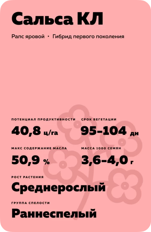 Сальса КЛ (SALSA CL) рапс яровой