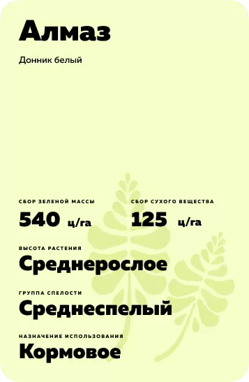 Алмаз