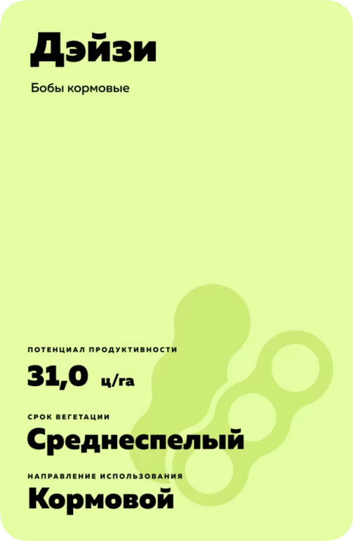 Дэйзи (DAISY)