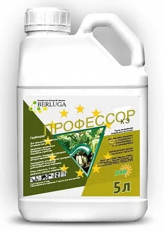 Профессор, КЭ