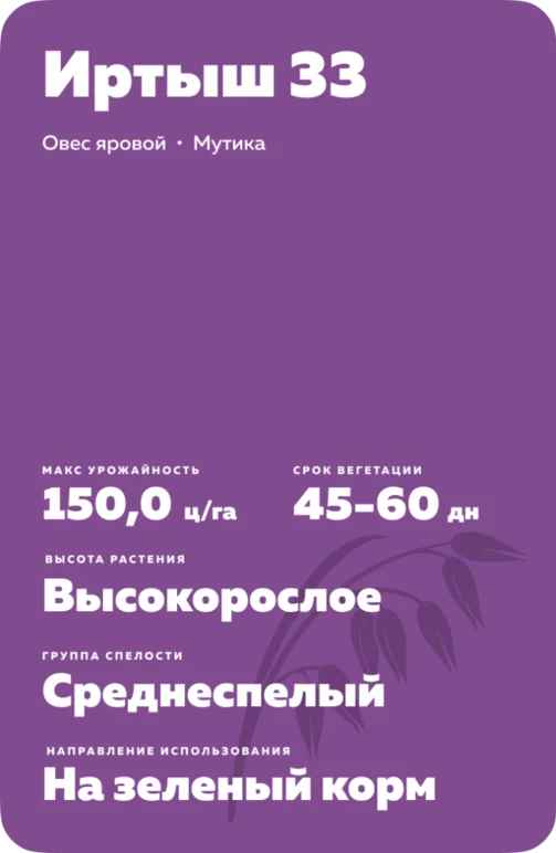Иртыш 33 сорт овса ярового