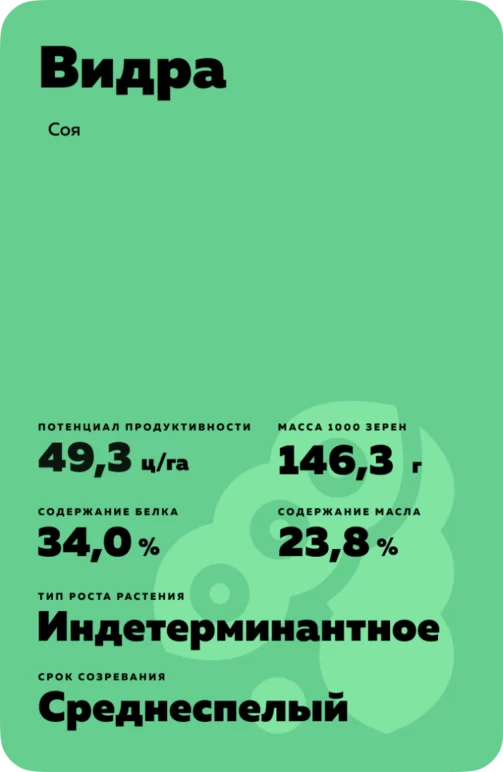 Видра