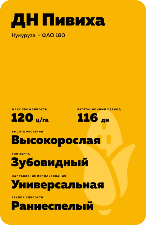 ДН Пивиха гибрид кукурузы